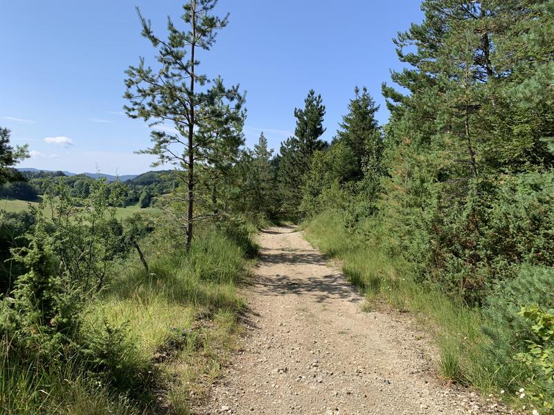 Randonnée - Vallon d'Apremont