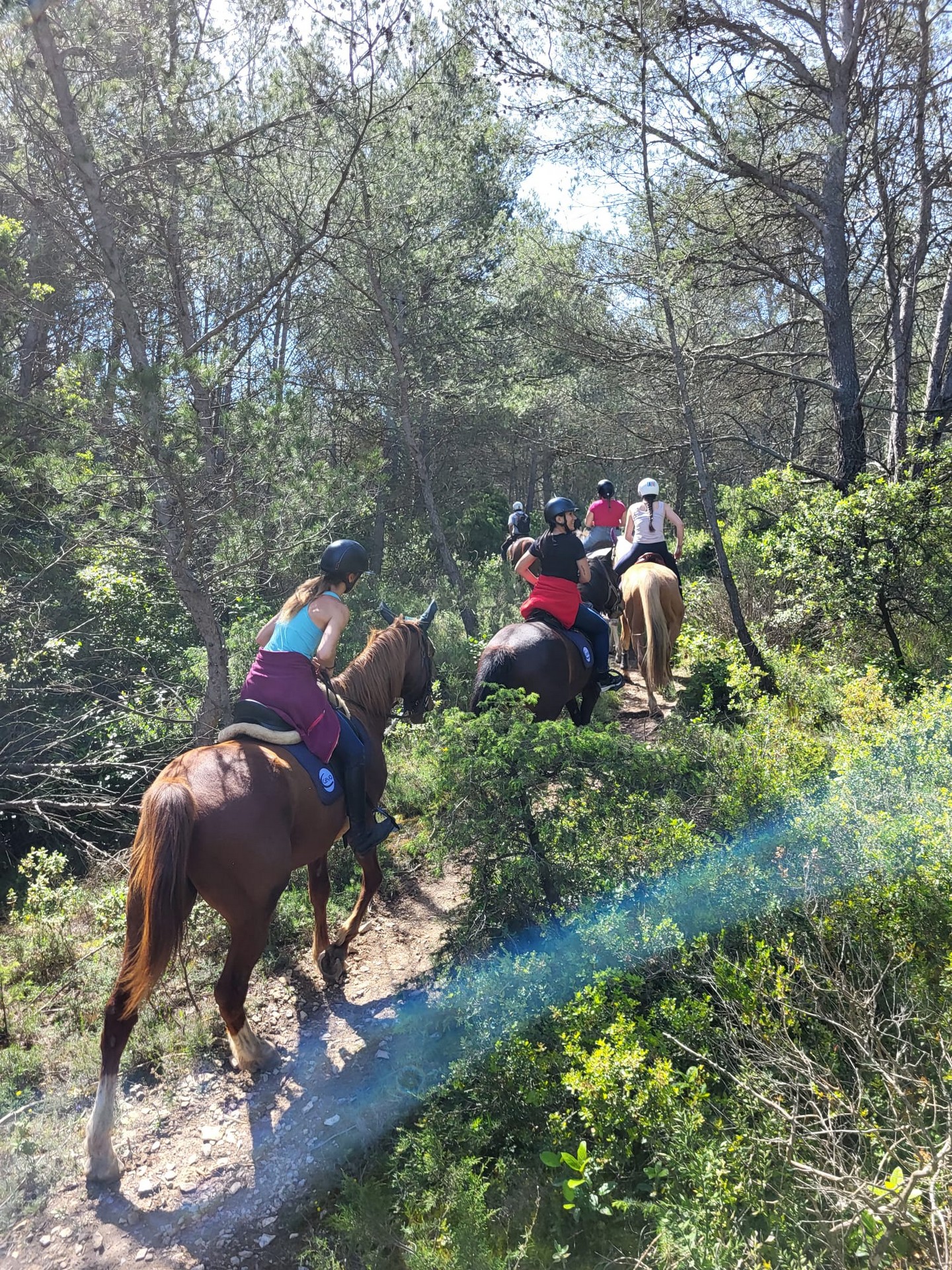 Chev'Alpilles