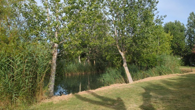 peyron 5