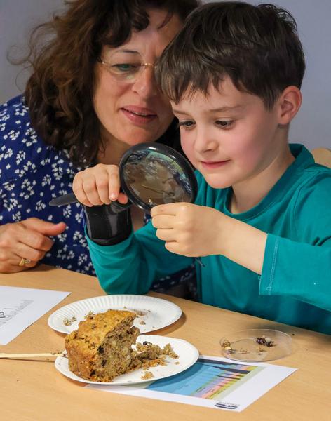 Atelier en famille « Archéologie d’un gâteau gaulois »