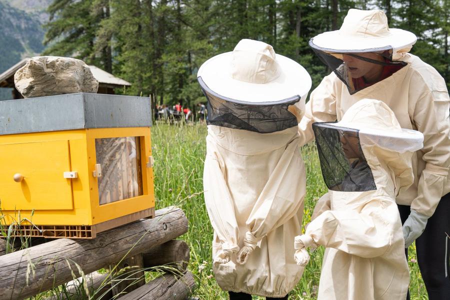 Familles en Orres : Visite accompagnée des ruches des Orres_Les Orres