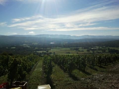 Domaine De La Beliere - Cerdon - Rongier Céline et Gaël