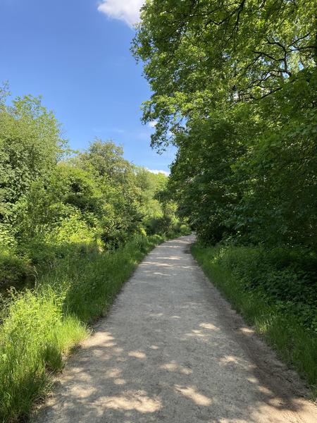 Avenue des Minimes 