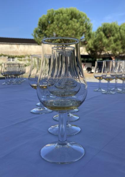 Des verres de cognac alignés lors d'une dégustation.