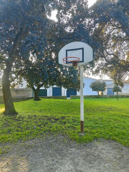 Panier de basket