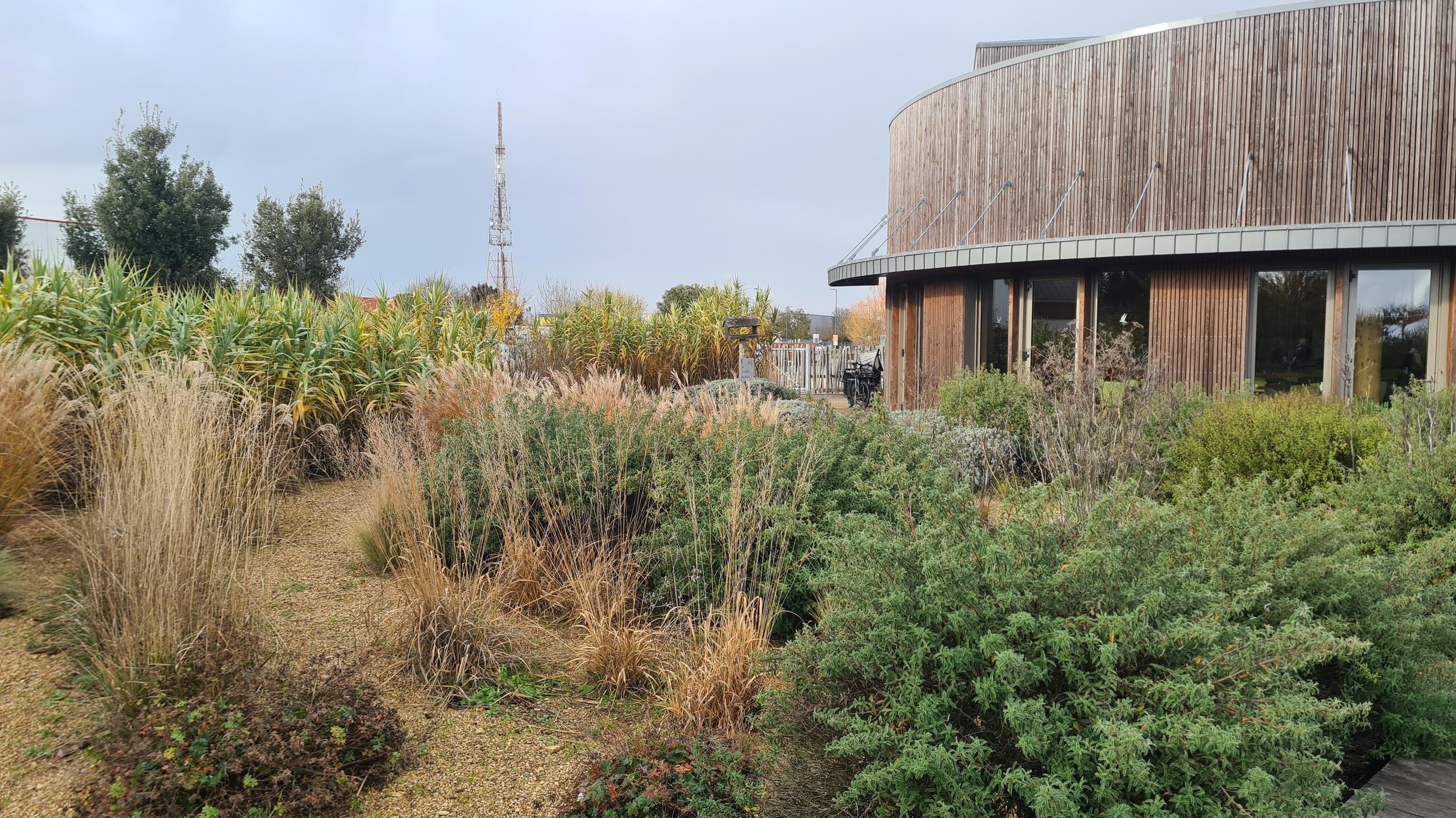 Animation - Un jardin zéro déchets verts