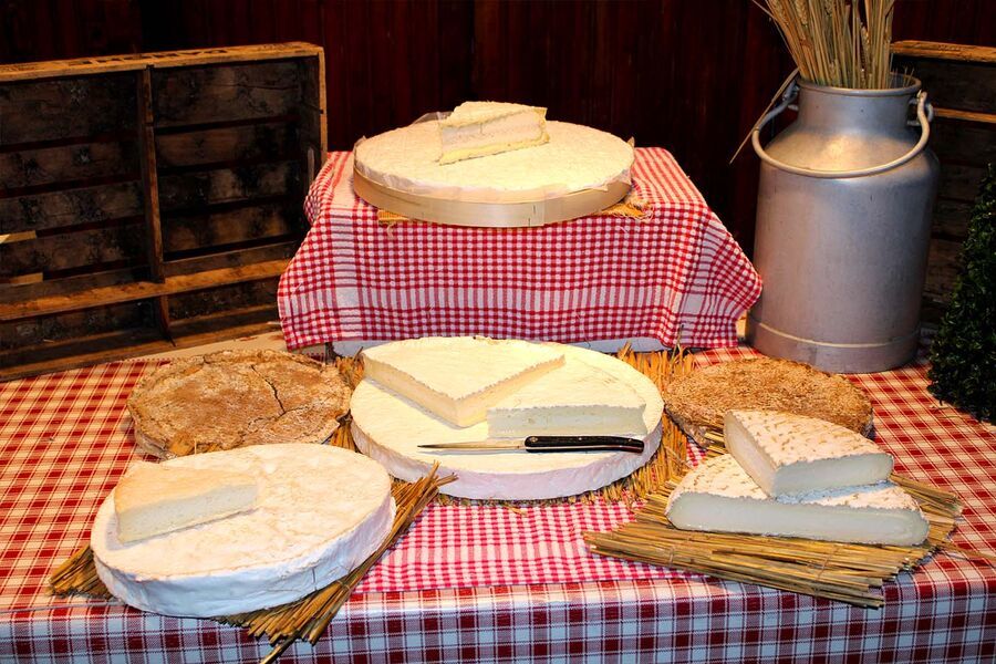 Brie Fromagerie Ganot