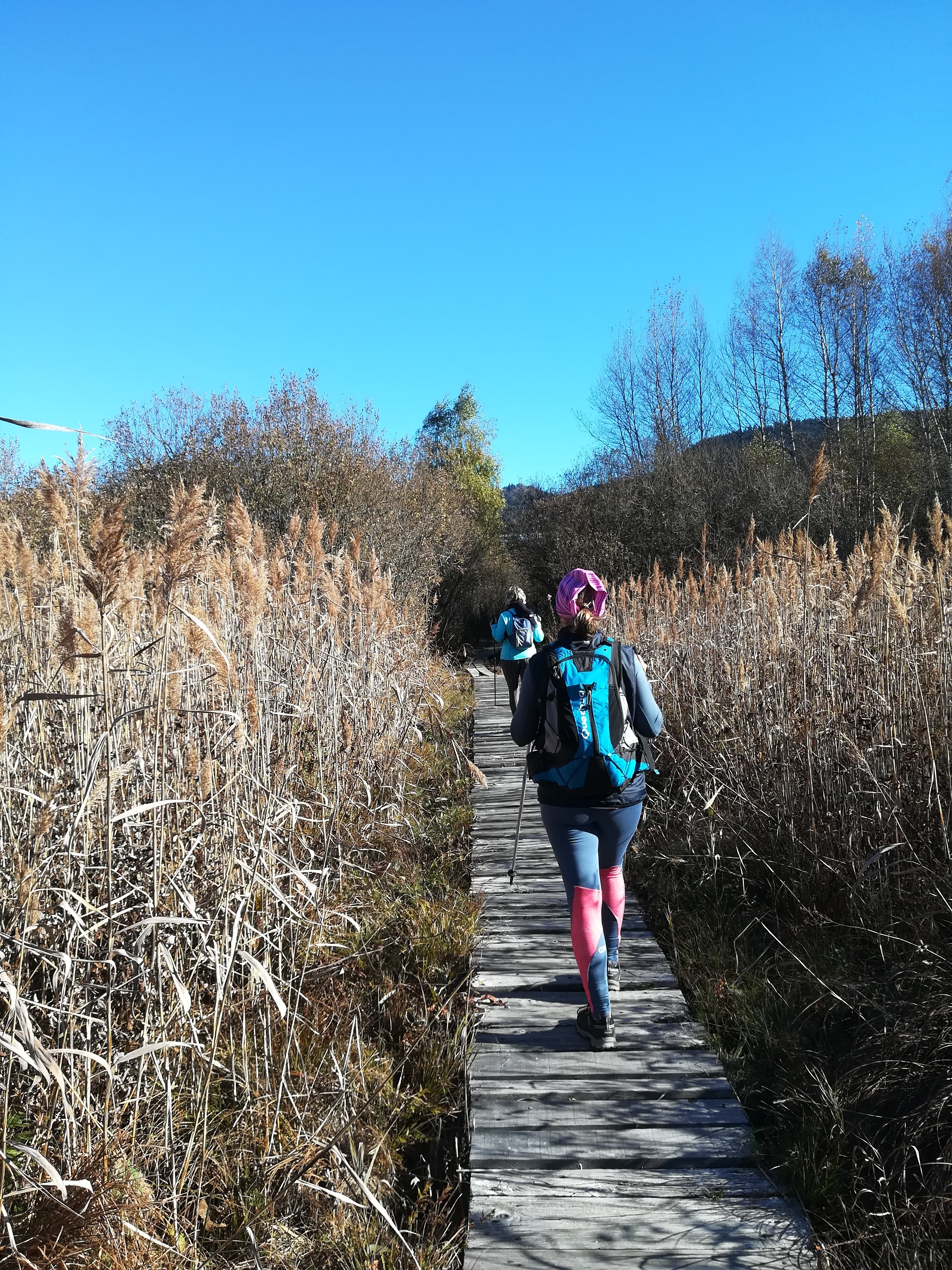 Demoiselles du Plateau - Nordic Walking