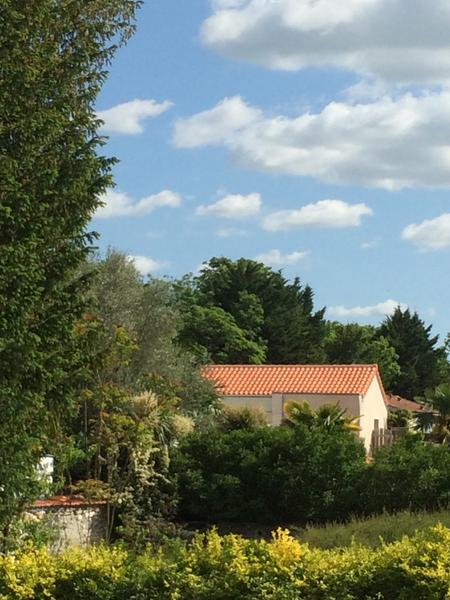 Environnement arboré