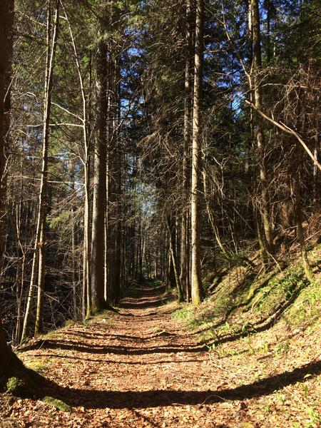 Boucle découverte autour de St Pierre