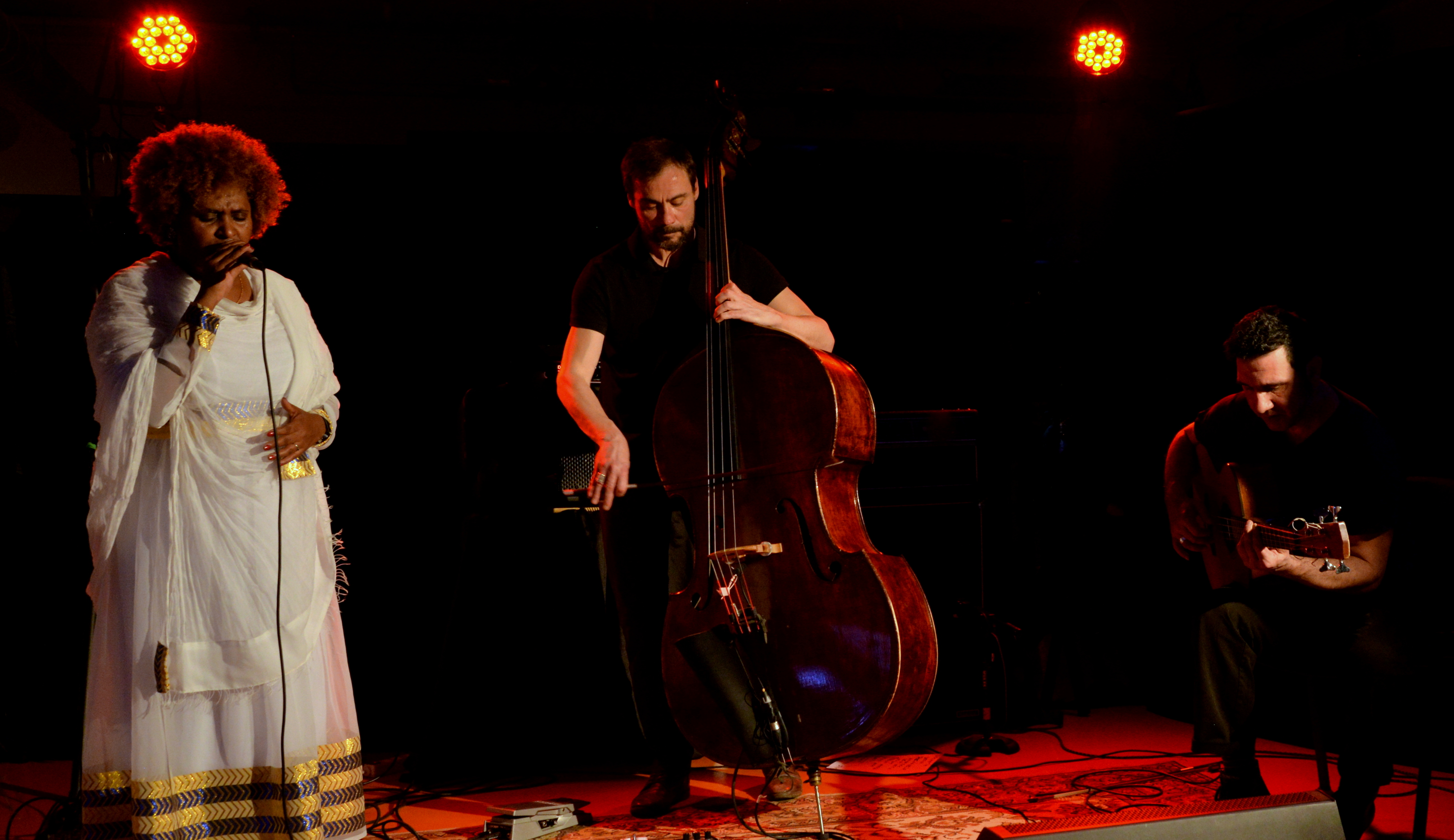 Trio Etenesh Wassié -Matthieu Sourisseau - Sébastien Bacquias