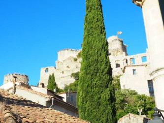 Maison Mira, Boulbon - photo 4