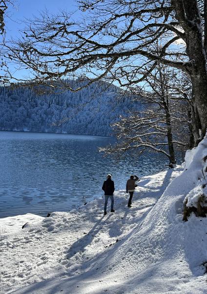 Découverte du lac Pavin, randonnée accompagnée avec transport en mini-bus