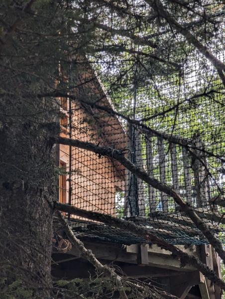 Nuits de cimes - La cabane du grand bois_Château-Bernard