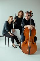 Les Allées chantent concert Trio Laflamme_Grenoble