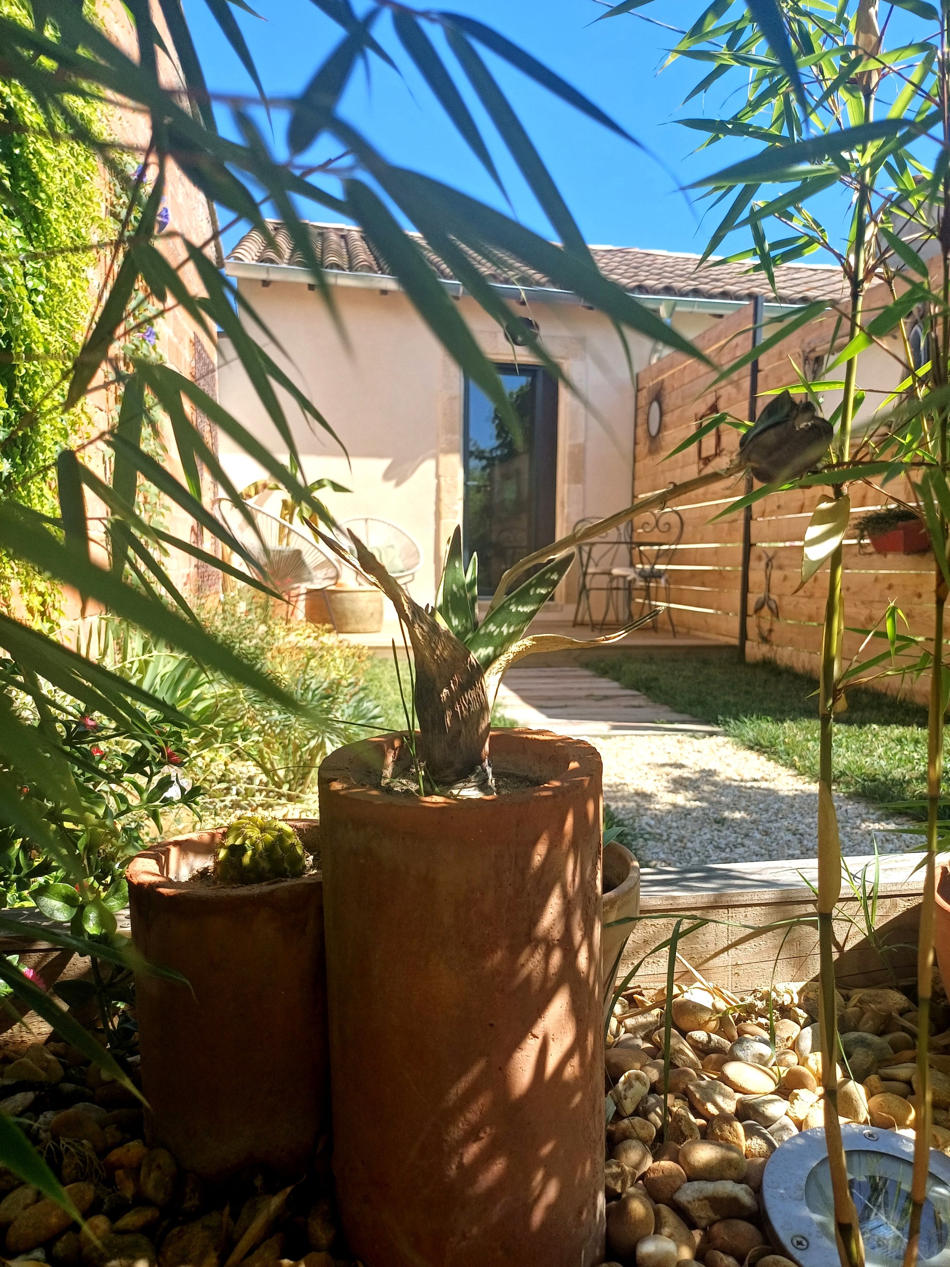 Les Herbes Folles, Maillane - photo 6