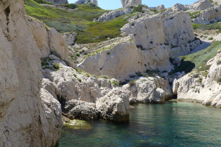 Destination Château d'If - Balade en mer Circuit 2h30