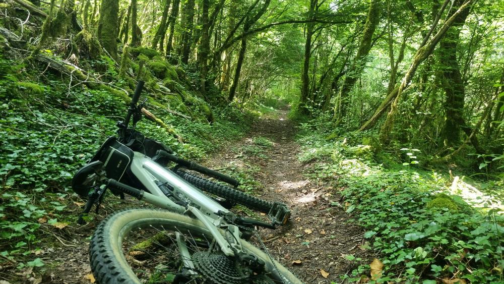 Circuit VTT n°7 (rouge) - Drom - Villereversure_Simandre-sur-Suran