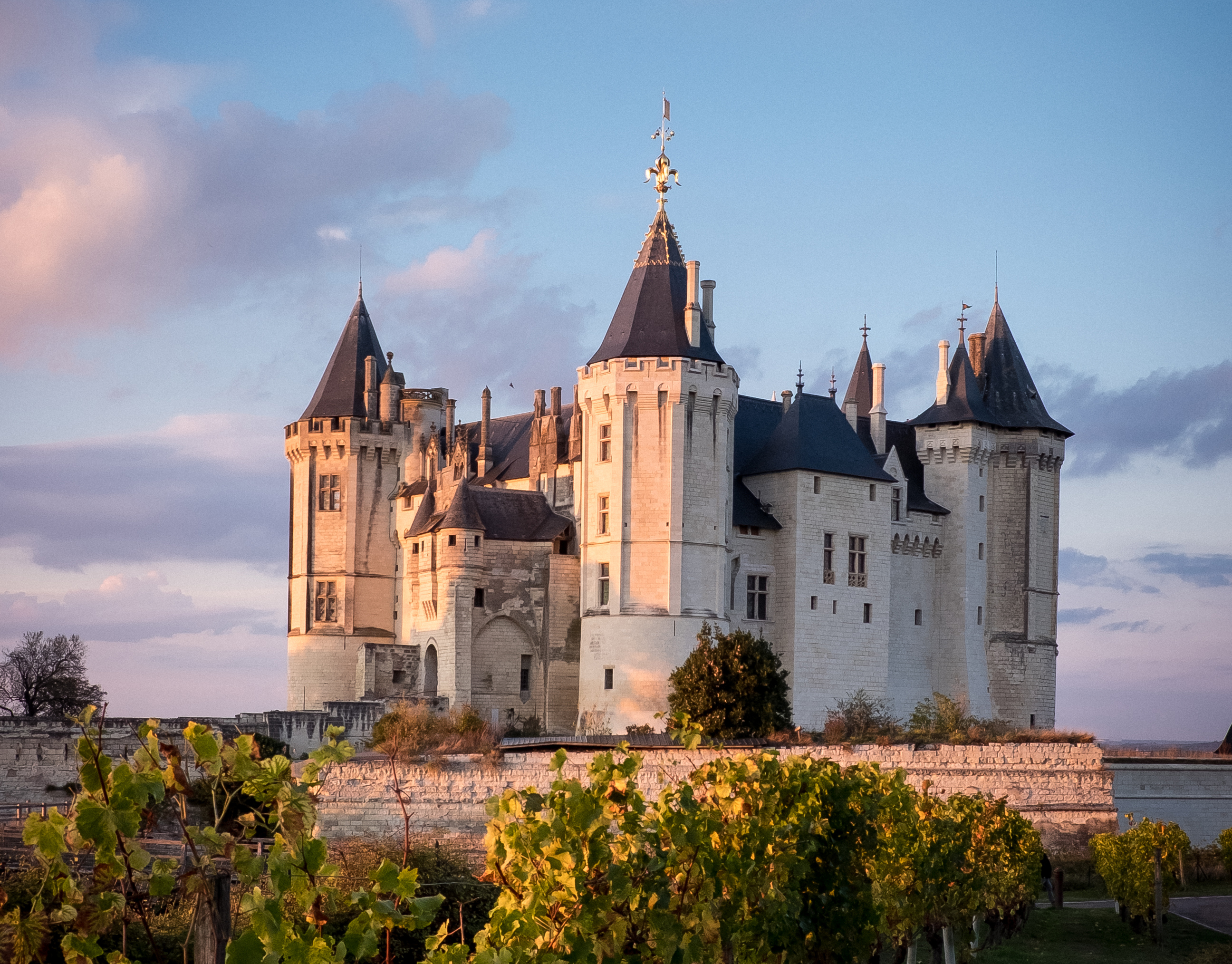 Château de Saumur - Saumur Val de Loire Tourisme