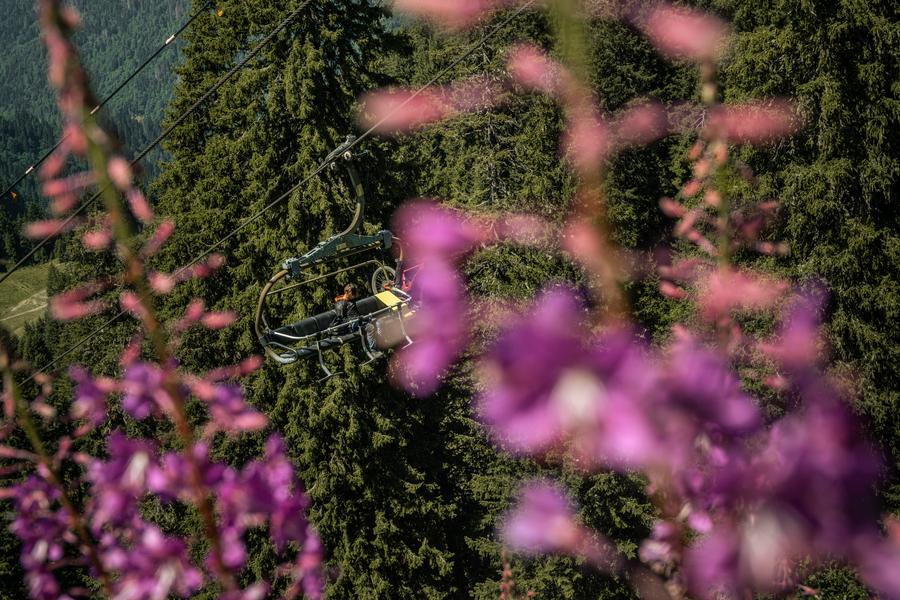Randonnée pédestre : le Lac Vert depuis la télécabine d'Ardent_Montriond