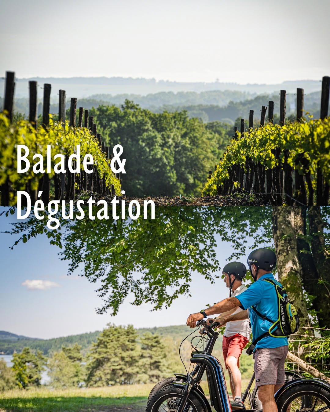 Balades en E-Trott - Château Montifaud