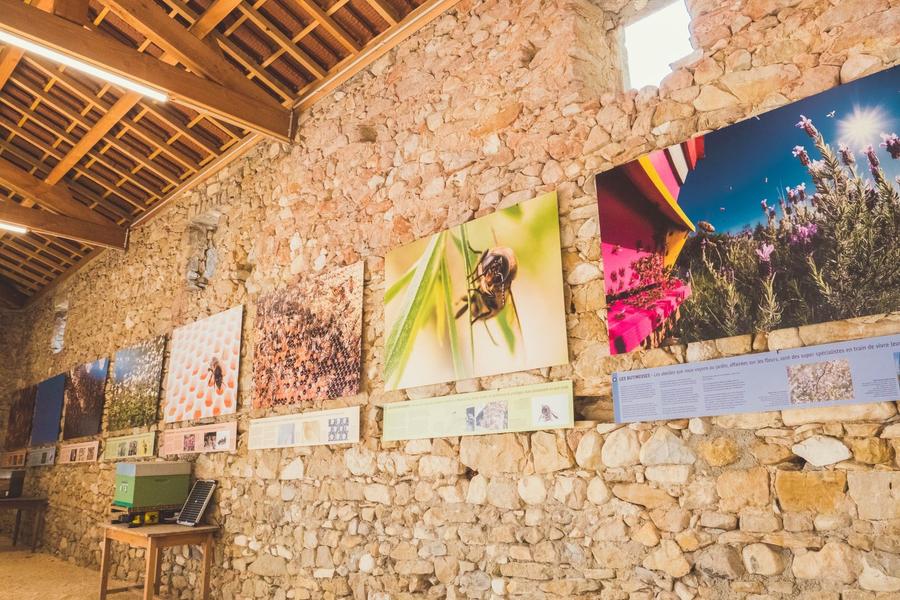 Exposition : Le genie des abeilles_Lagorce