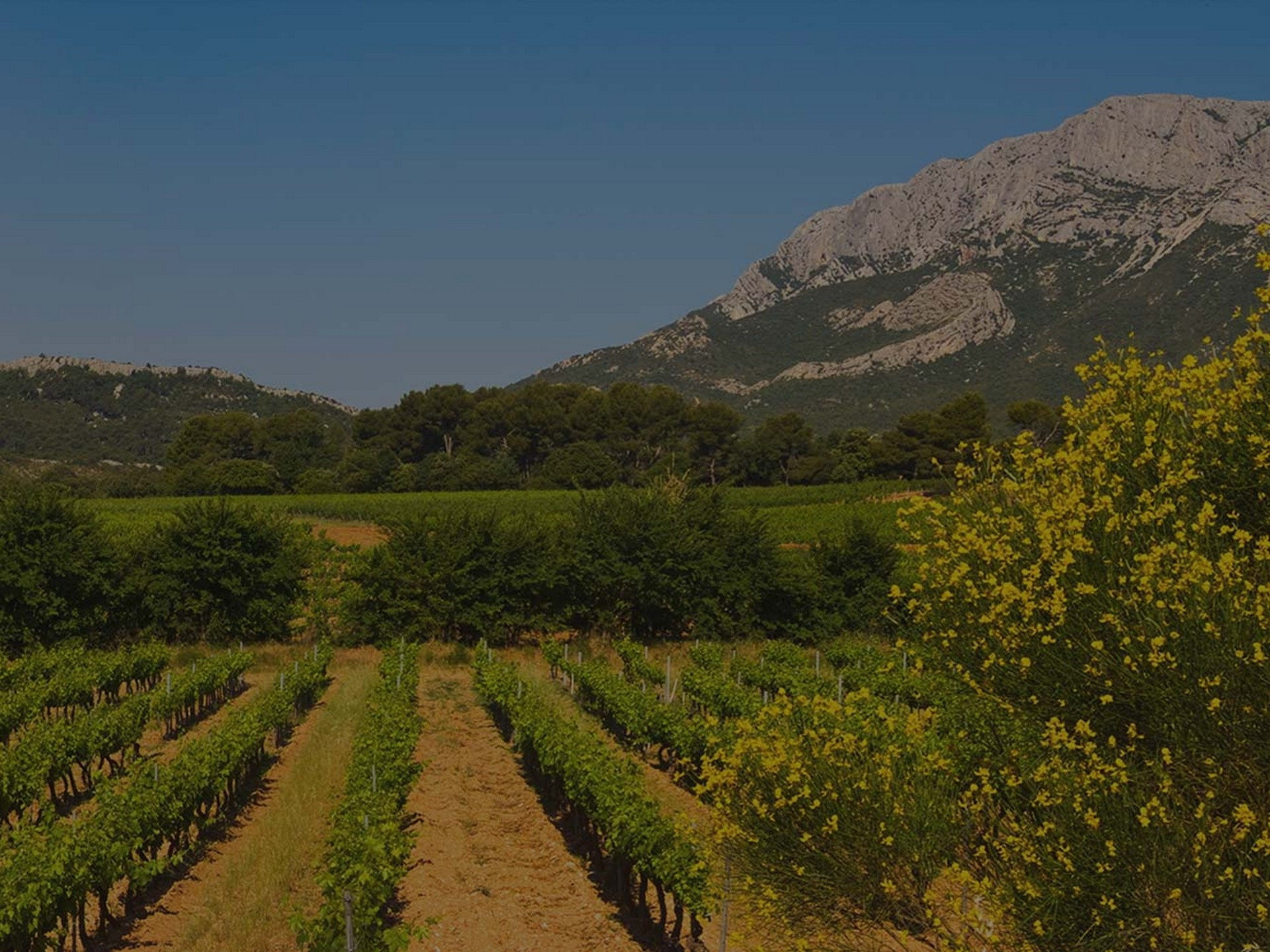 Domaine des Diables, Made in Provence : MiP rosé