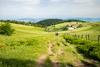 P-Crêt_de_la_Perdrix©ADT42-D.Masson_(4)