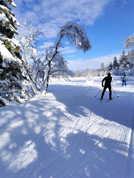 Domaine nordique des Moises_Habère-Poche