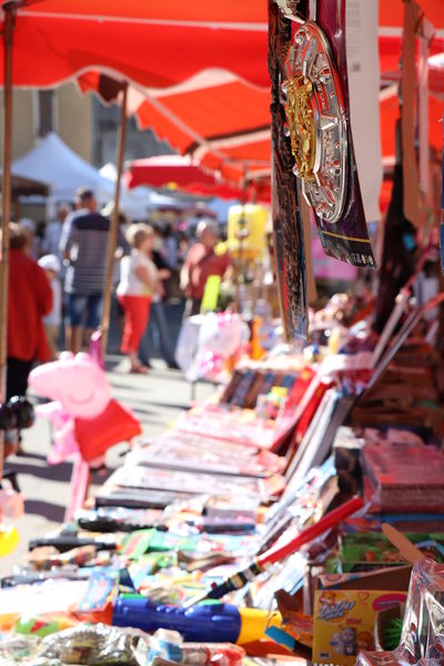 Foire d'Aillon le Jeune