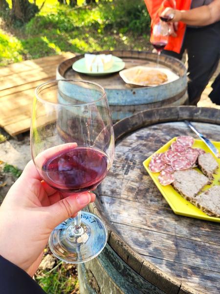 Visite et dégustation au vignoble de Vauhallan_Vauhallan