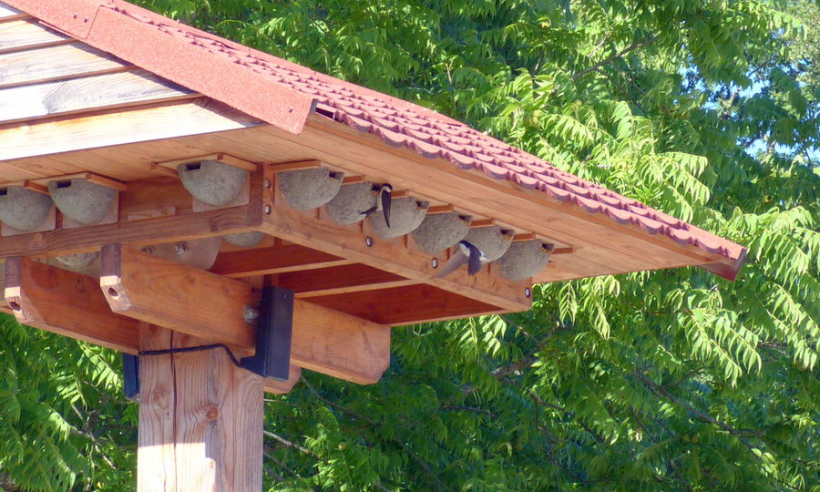 La Tour à hirondelles