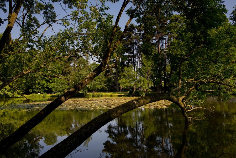 Le Bois de Vincennes 