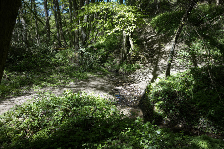 Circuit du Bataillard