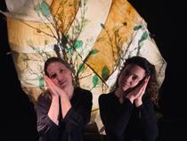 Festival Un mouton dans le ciel - L'arbre et l'oiseau_Chazelles-sur-Lyon