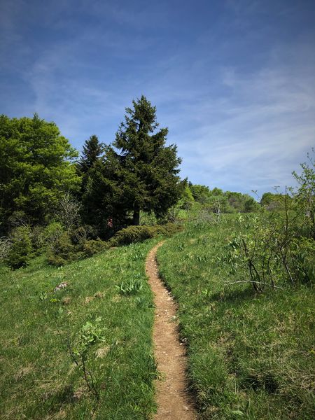 Trail sur les crêtes de Sur Lyand dans le Massif du Grand Colombier