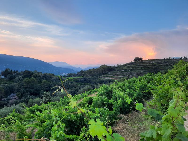 autre point de vue de chez nous