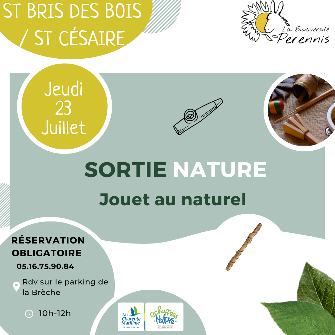 Sortie nature - Jouet au Naturel