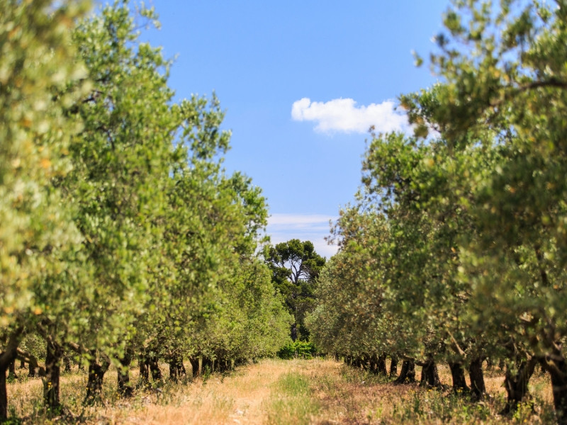 Domaine de Valdition