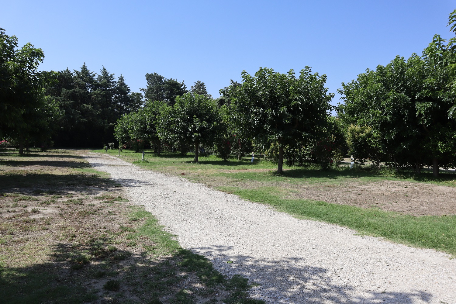 Les Micocouliers, Graveson - photo 19