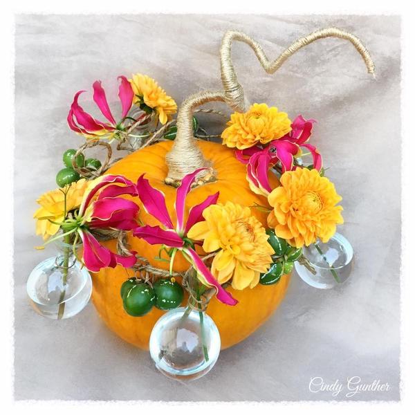 Cindy Gunther - Artisan du Tourisme