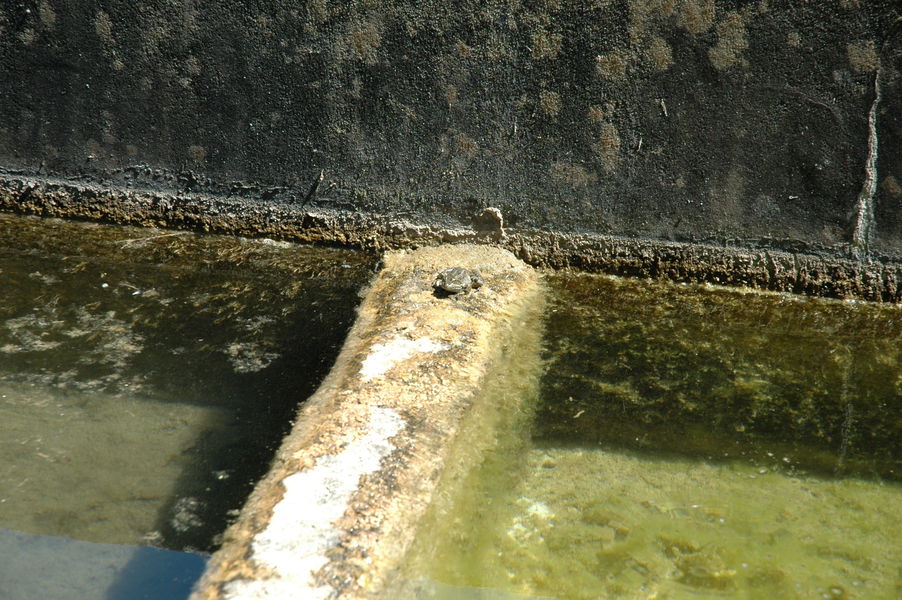 Lavoir Passins - OTSI Morestel