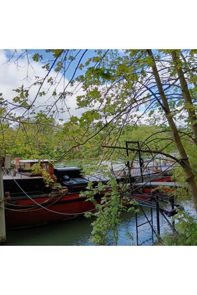 Les bords de Marne de Maisons-Alfort 