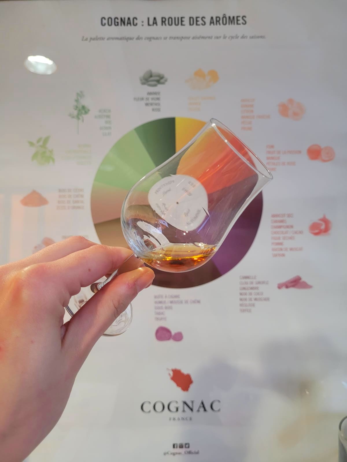 Visite dégustation au Musée des savoir-faire du cognac