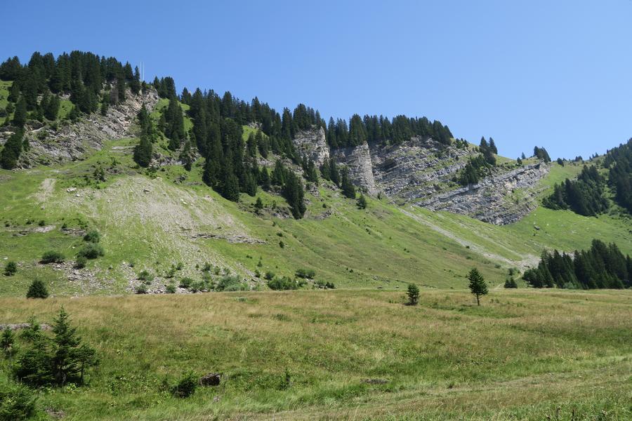 Sentier pédestre : des Lindarets à la Cascade des Brochaux_Montriond