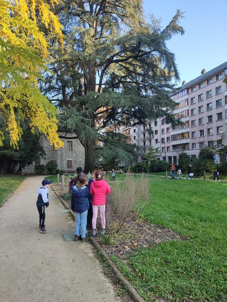 Le coin des enfants (7-12 ans) : rallye-nature jardin du Museum_Chambéry