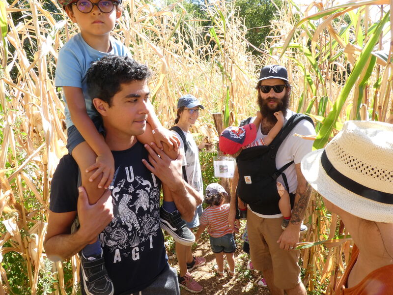 Pérouges Bugey Tourisme