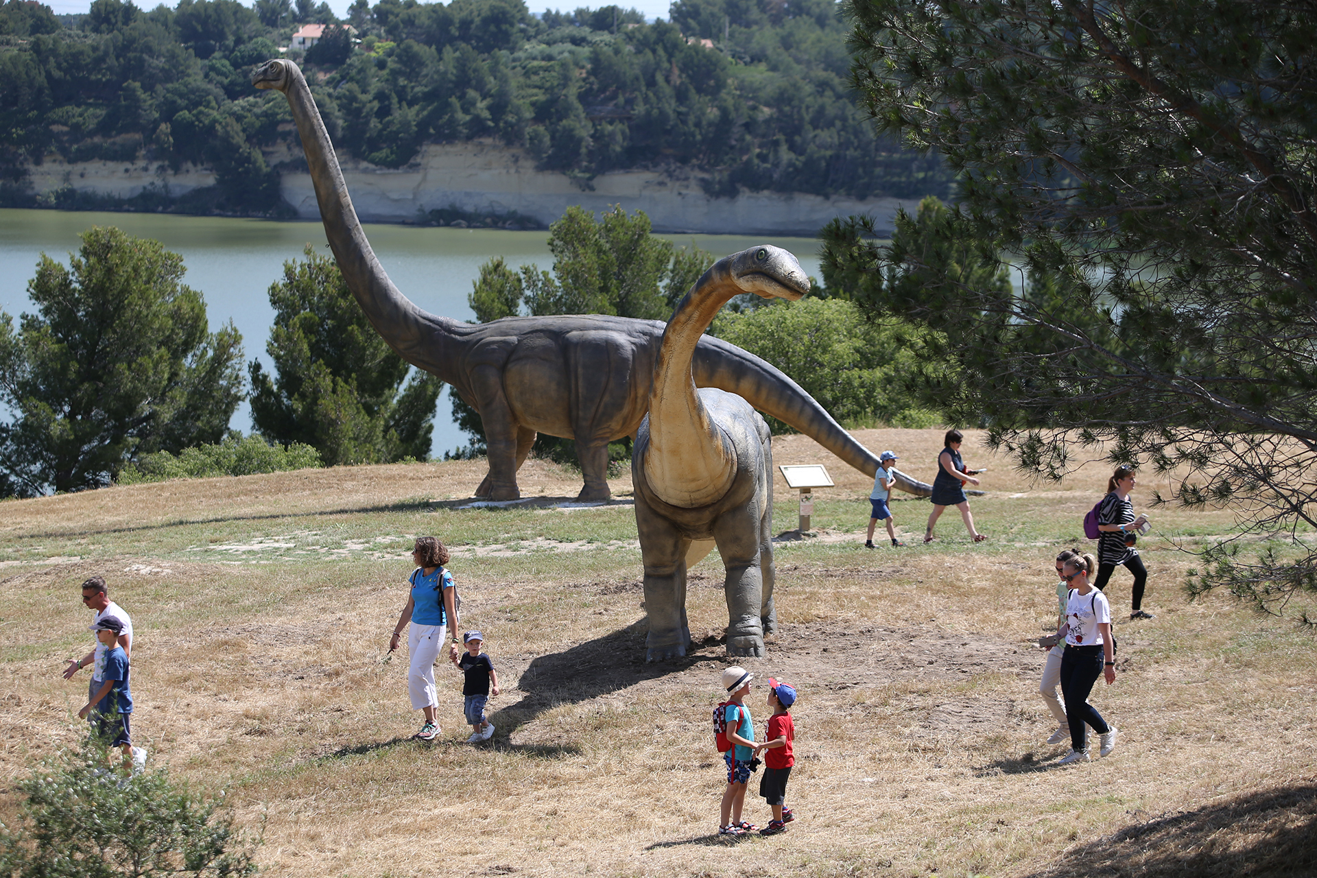 Dinosaur'Istres - photo 4