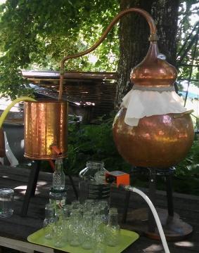 Démonstration : Secret d'hydrolat et distillation_Villages du lac de Paladru