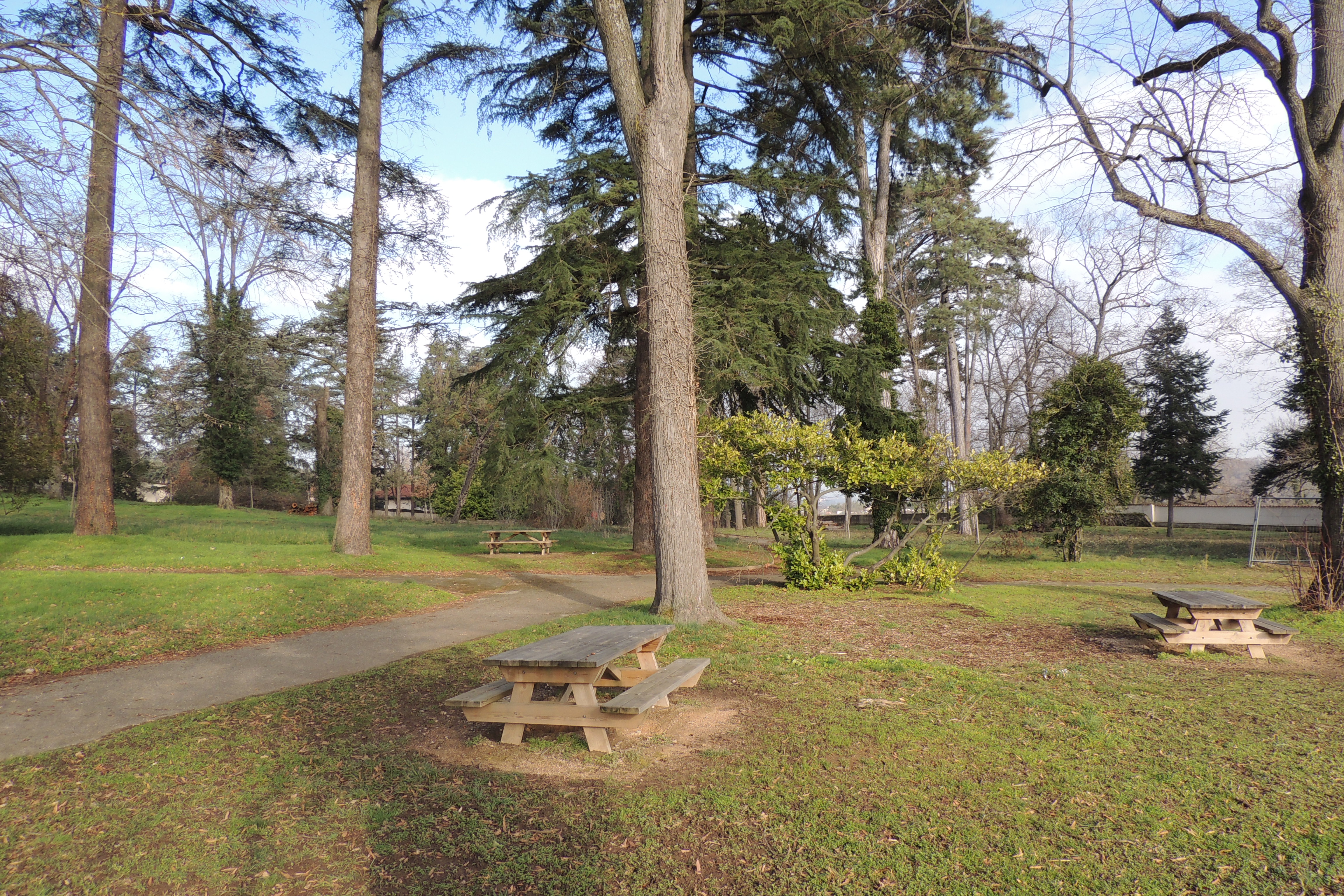 Table de pique-nique